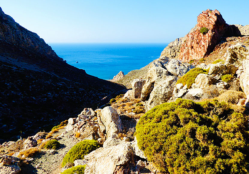 The trekk to the Tholos beach is not for people with bad knees.