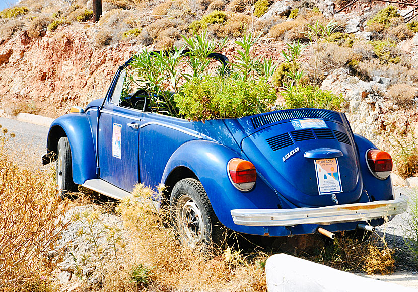 Outside Hotel Ilidi Rock in Livadia on Tilos is a Volkswagen model 1300 full of flowers.