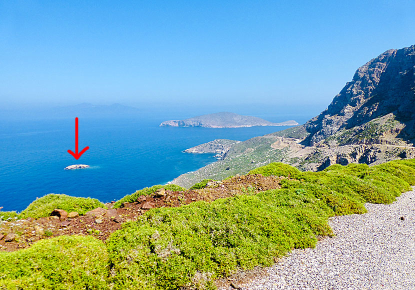 On the small island of Vrachonisida on Tilos, the rare bird Audouin's gull breeds.