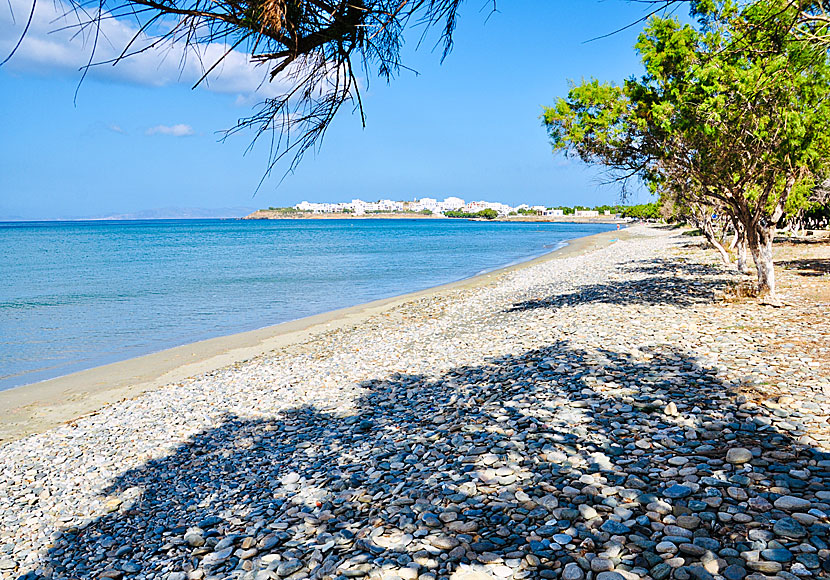 Rental of sunbeds and good restaurants along the beach of Agios Fokas on Tinos.