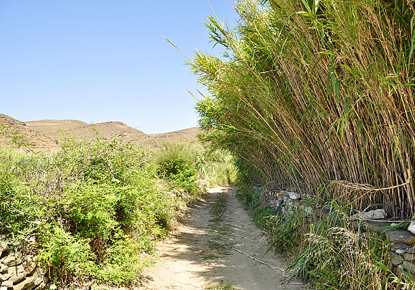 Drive a car or take a bus to Kolymbithra on Tinos.