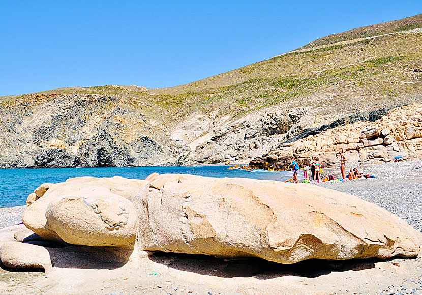 Are there sharks and whales in Greece?