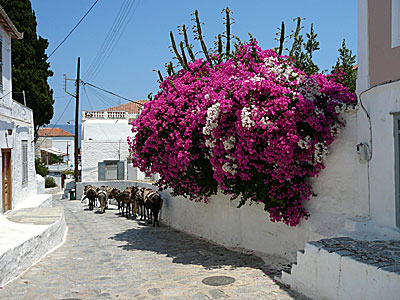 Hydra in Greece.