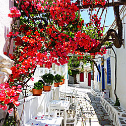 Pictures from Greece.