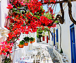 Pictures from Greece.