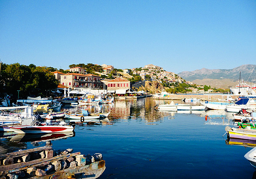 Molyvos on Lesvos is one of the Greek islands' finest villages.