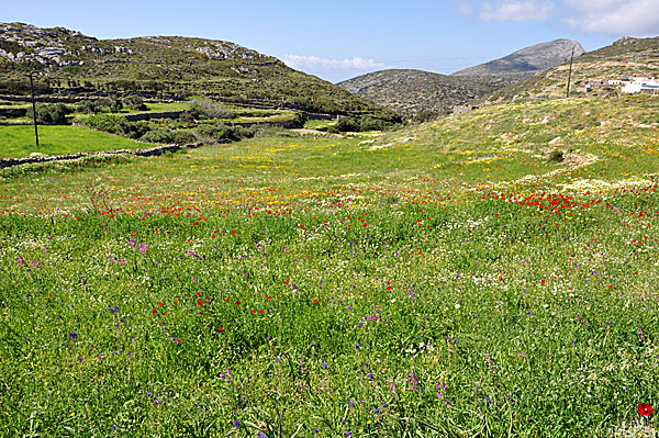 The landscape around Arkesini really invited us to hike.