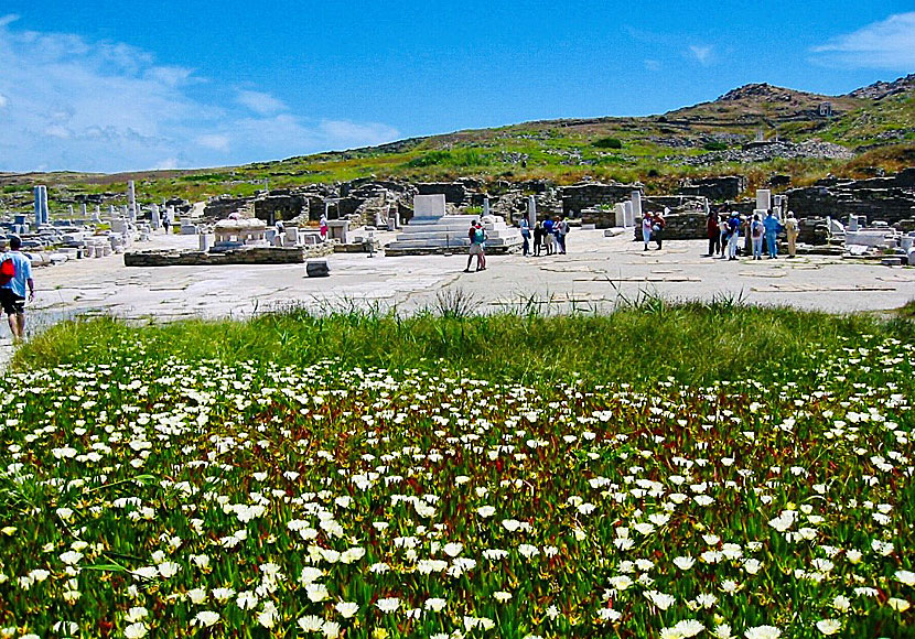 The ancient island of Delos near Mykonos in Greece.