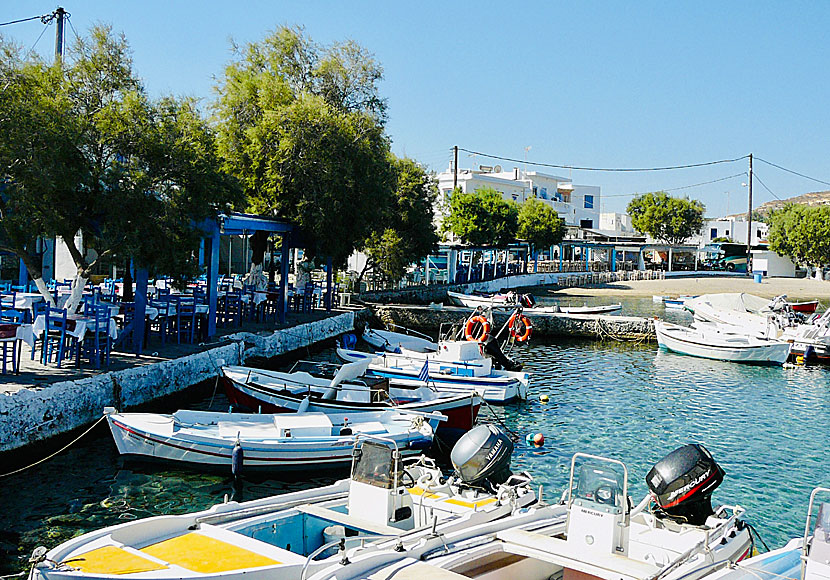 The cozy village of Pollonia on Milos is very suitable for families with children.