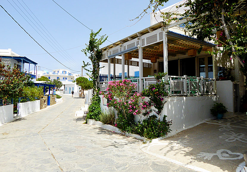 Good restaurants and tavernas along the main street of Chora on Schinoussa.