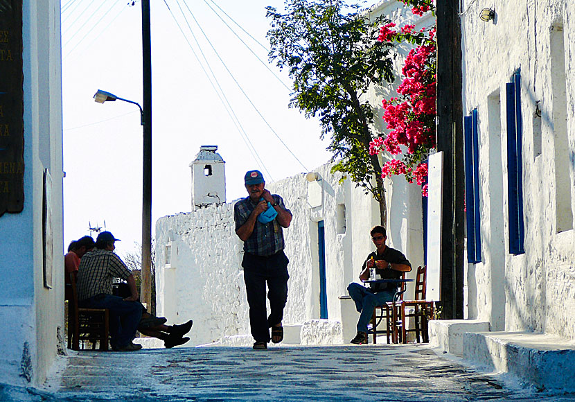 Schinoussa is one of the most rural and genuine islands of the Cyclades.