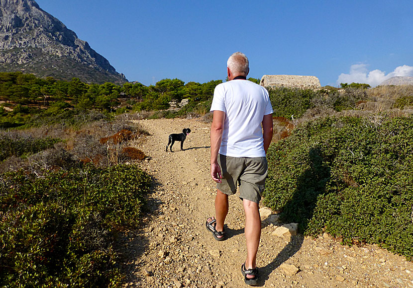 The only way to get around Telendos is on foot.