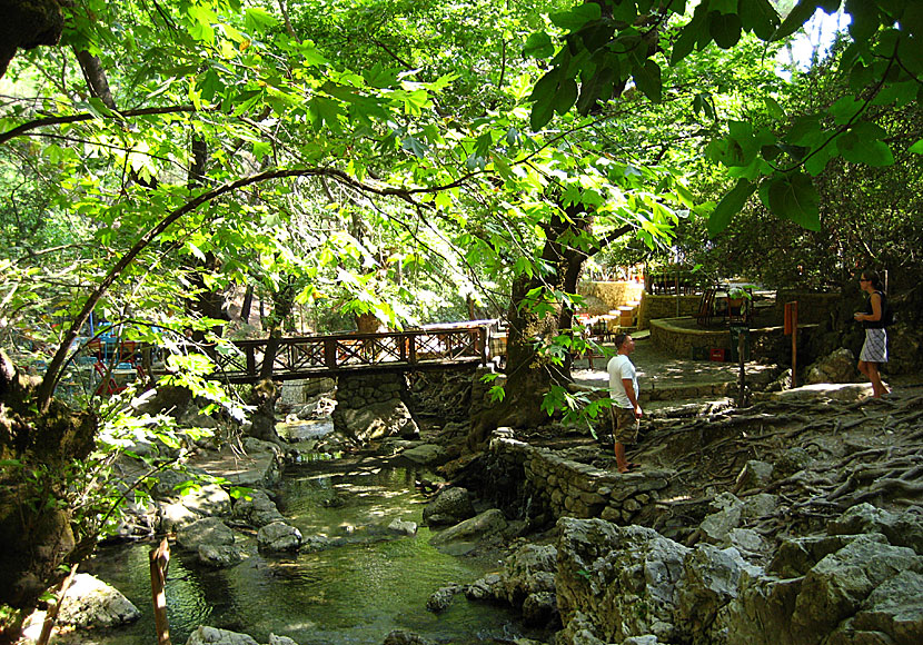 Epta Pigesis is an oasis in Rhodes.