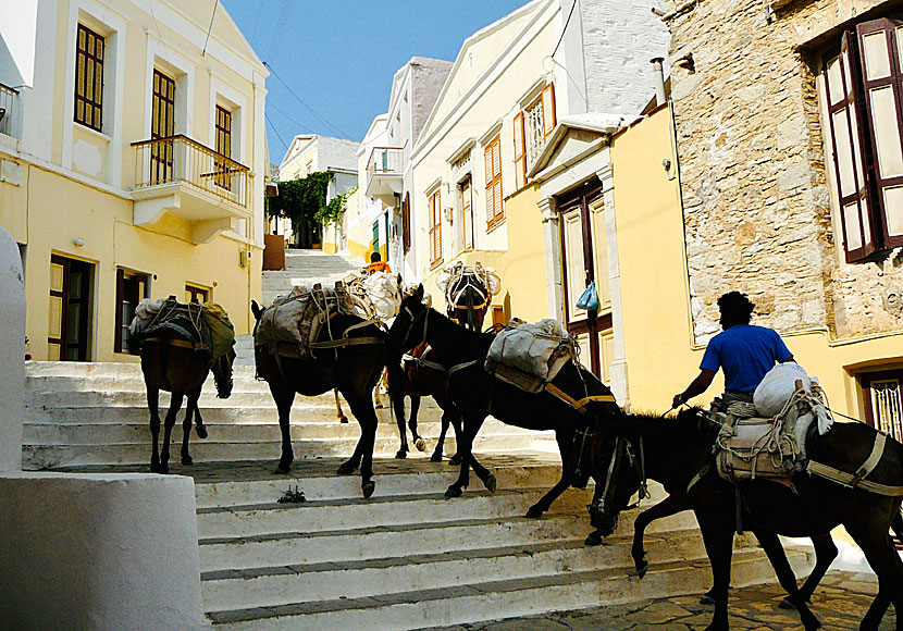 The beautiful staircase Kali Strata goes between the villages of Gialos and Chorio on Symi.