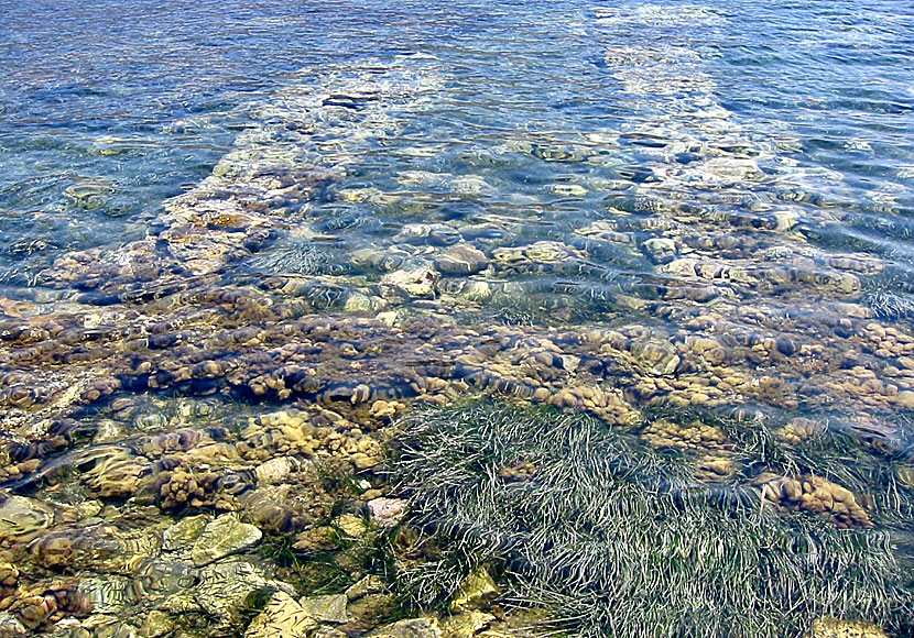 he sunken city between Telendos and Kalymnos.