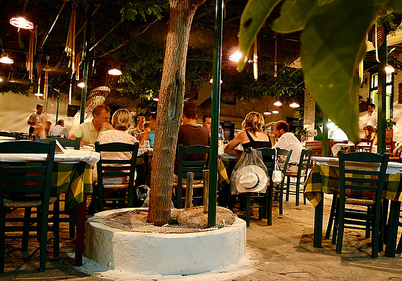 Taverna Xeri Elia Douskos was Leonard Cohen's favorite when he lived on Hydra.