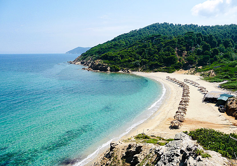 Agistro beach on southern Skiathos.