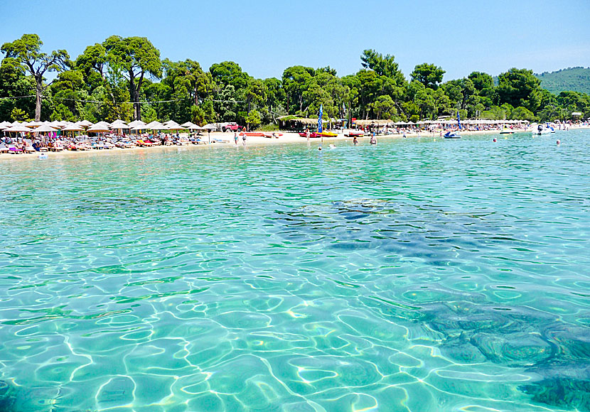 Koukounaries is the best beach on Skiathos. 