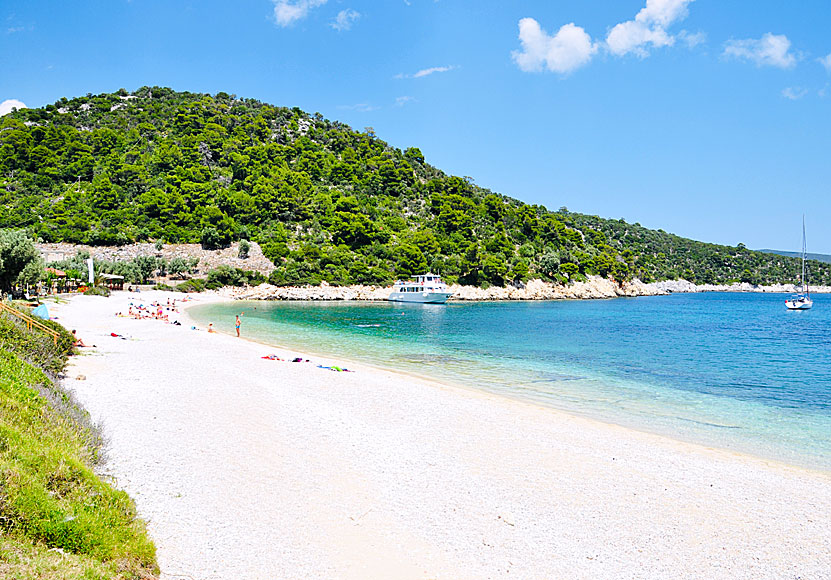 At the beautiful beach Leftos Gialos on Alonissos there are fantastic restaurants.