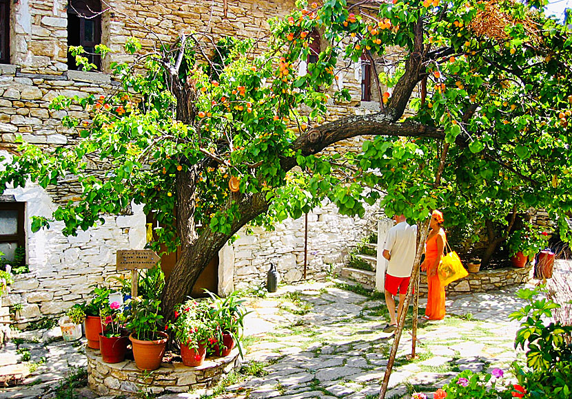 The Monastery of Evangelistria is well worth a visit when traveling to Skiathos.