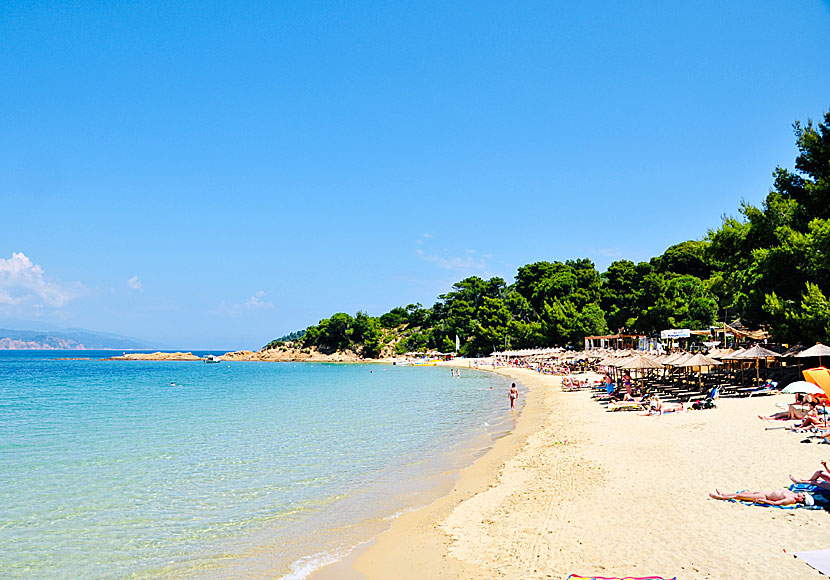 Banana beach lies just after Koukounaries beach on Skiathos in the Sporades.